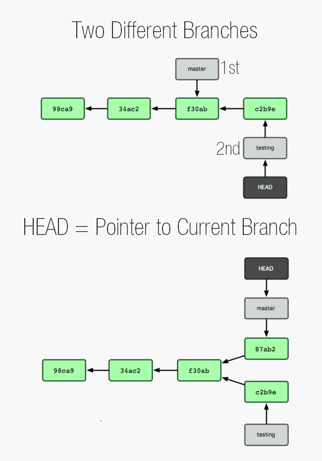 Head points to currently loaded branch