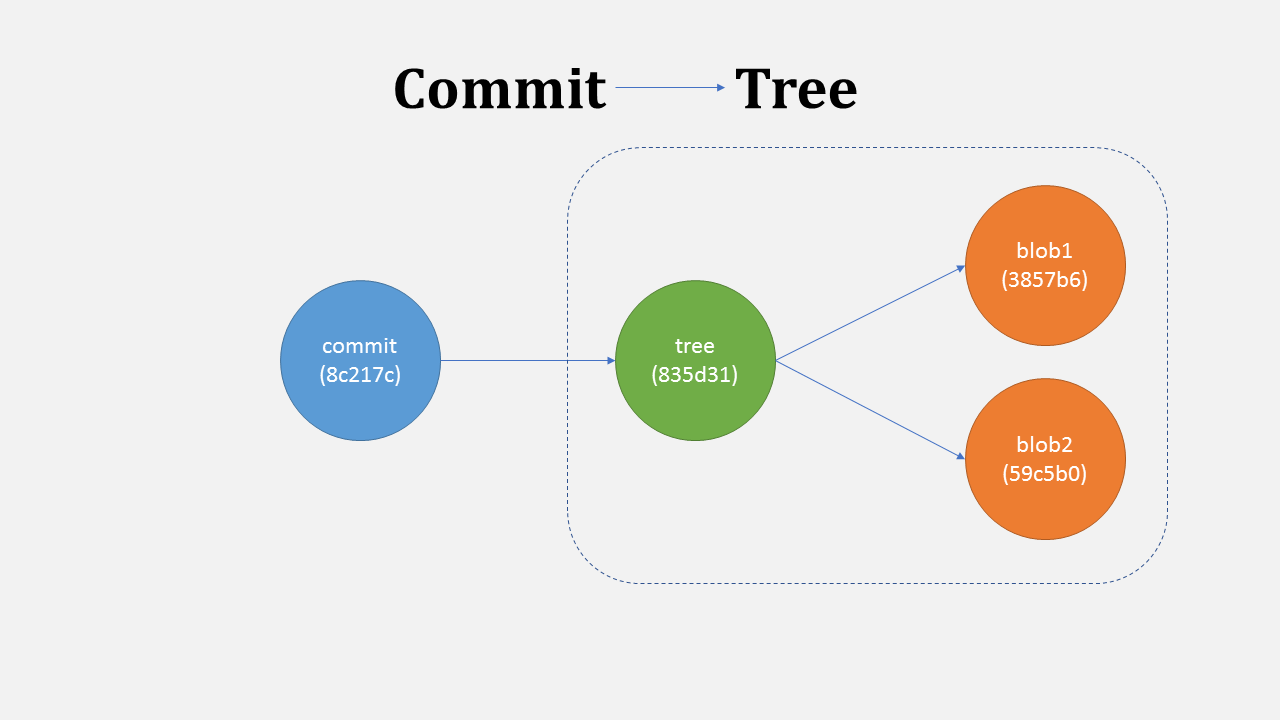 A commit points to tree