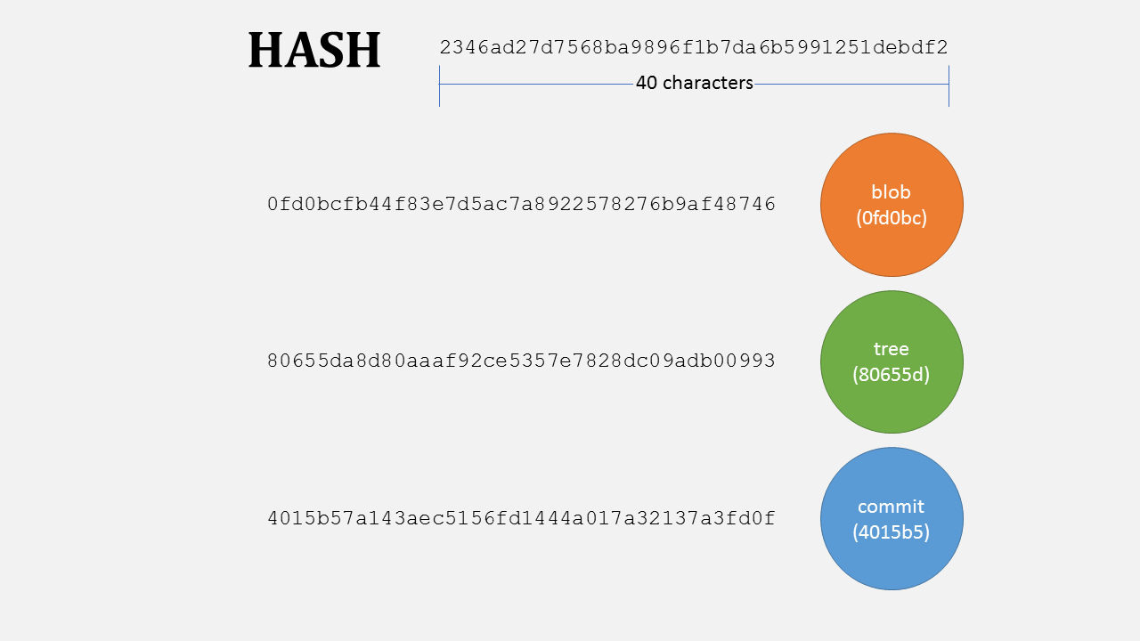 A Hash for each basic unit
